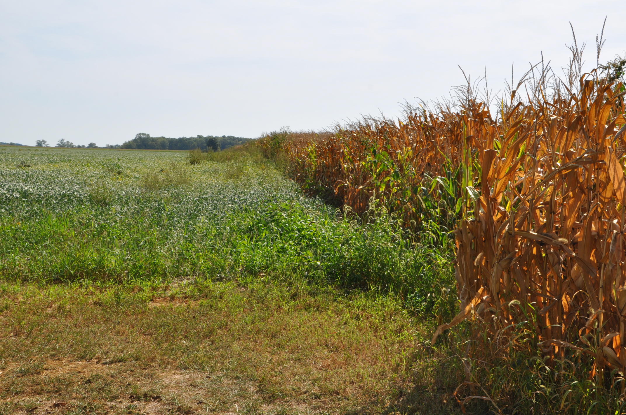 0 South State Road Tipp City, OH 45371 - Photo 12 of 14