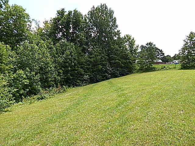 812 Coolidge Road La Follette, TN 37766 - Photo 3 of 11 Back-Yard