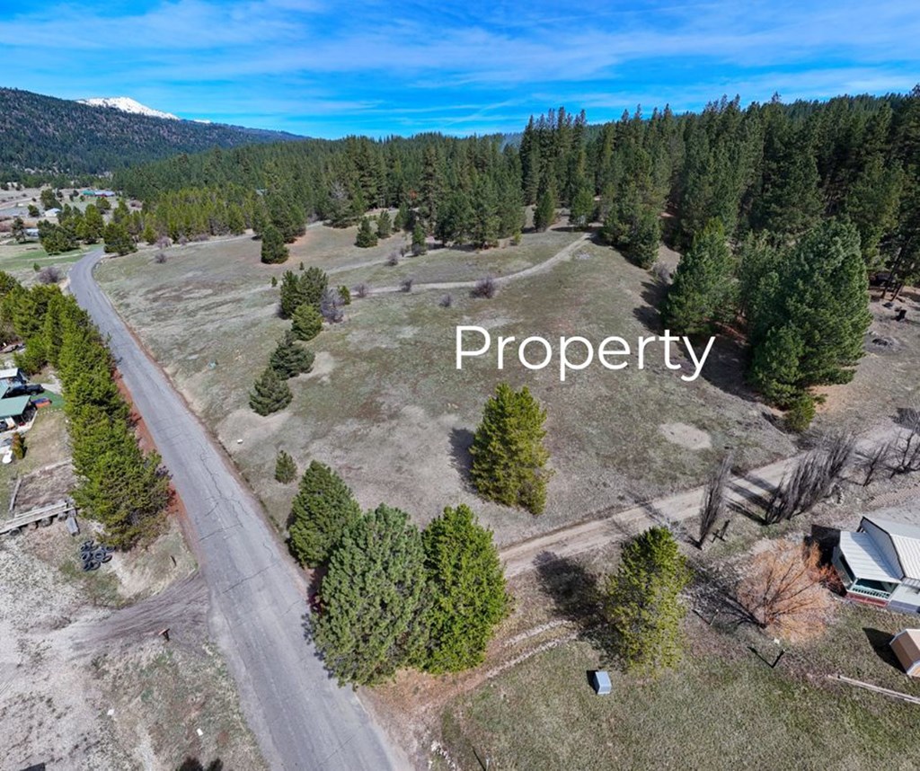 Pt Lot 7 Packer John Road, Unit 7 Cascade, ID 83611 - Photo 3 of 16 Privacy Tucked Near Mountains and River