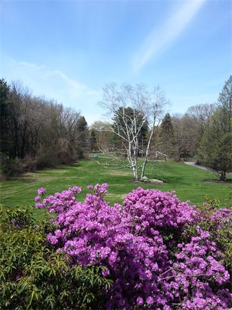 20 Carroll Road Grafton, MA 01536 - Photo 20 of 21 Gallery Image 20
