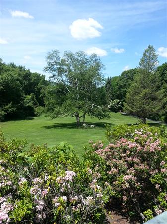 20 Carroll Road Grafton, MA 01536 - Photo 21 of 21 Gallery Image 21