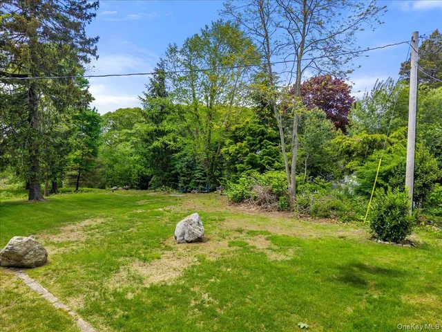 a view of a yard with a tree