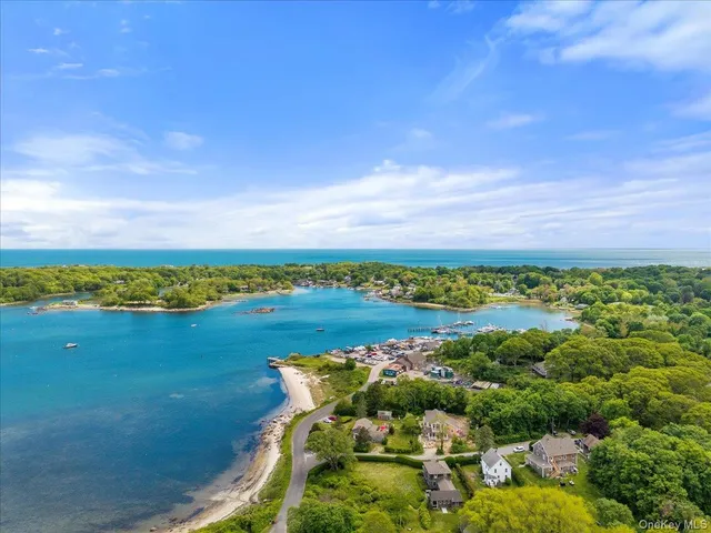 a view of a garden with a tree