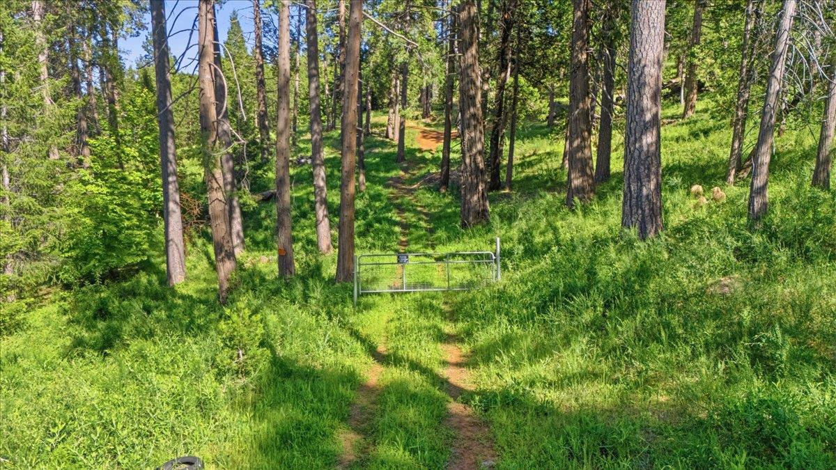 11021 Pittsburg Mine Road Nevada City, CA 95959 - Photo 19 of 36