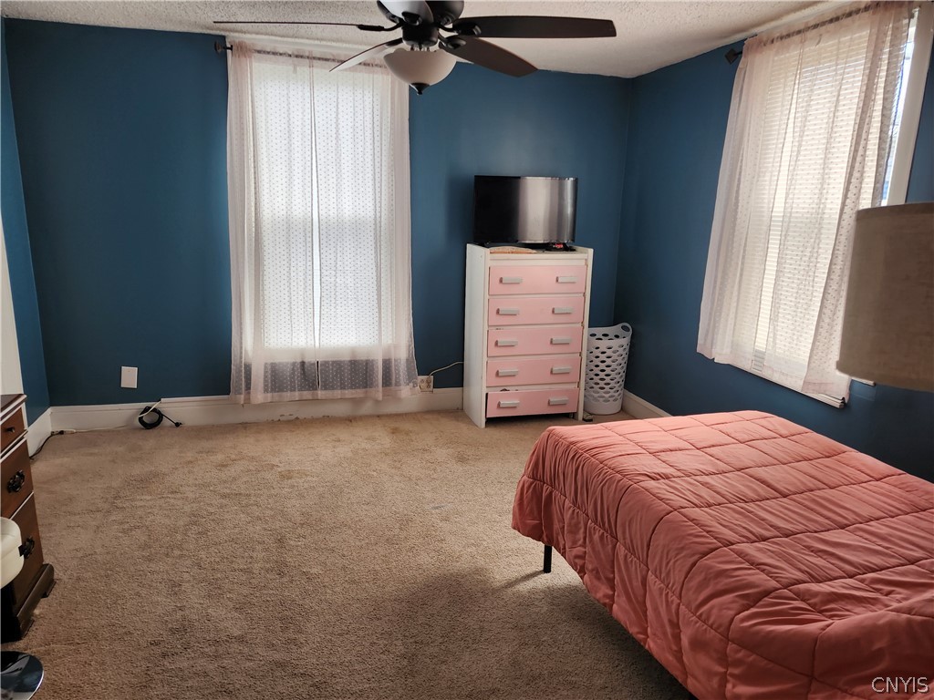 706 Division Street De Ruyter, NY 13052 - Photo 19 of 25