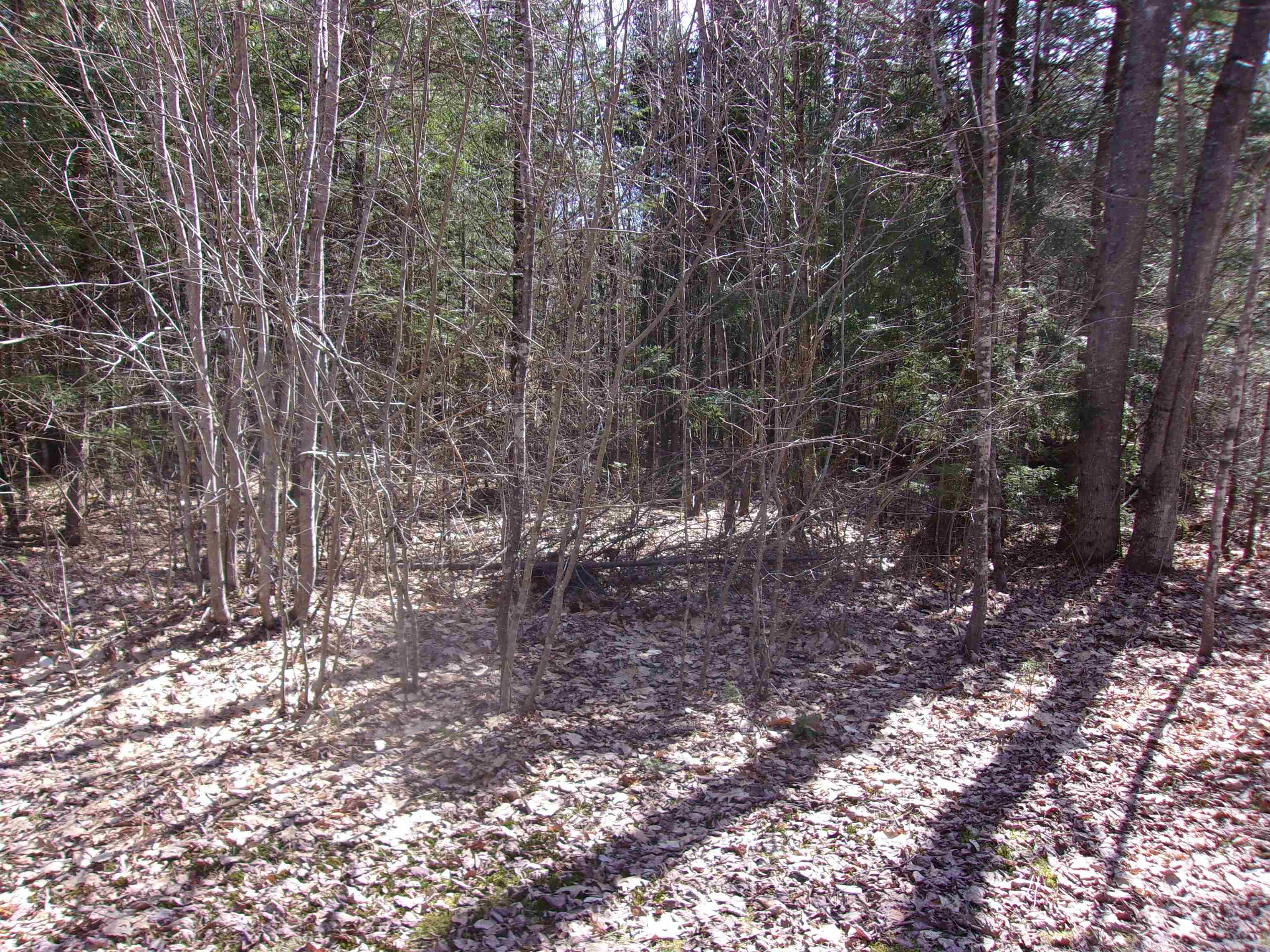 Fenn Way Circle, Unit 33 Bath, NH 03740 - Photo 8 of 21