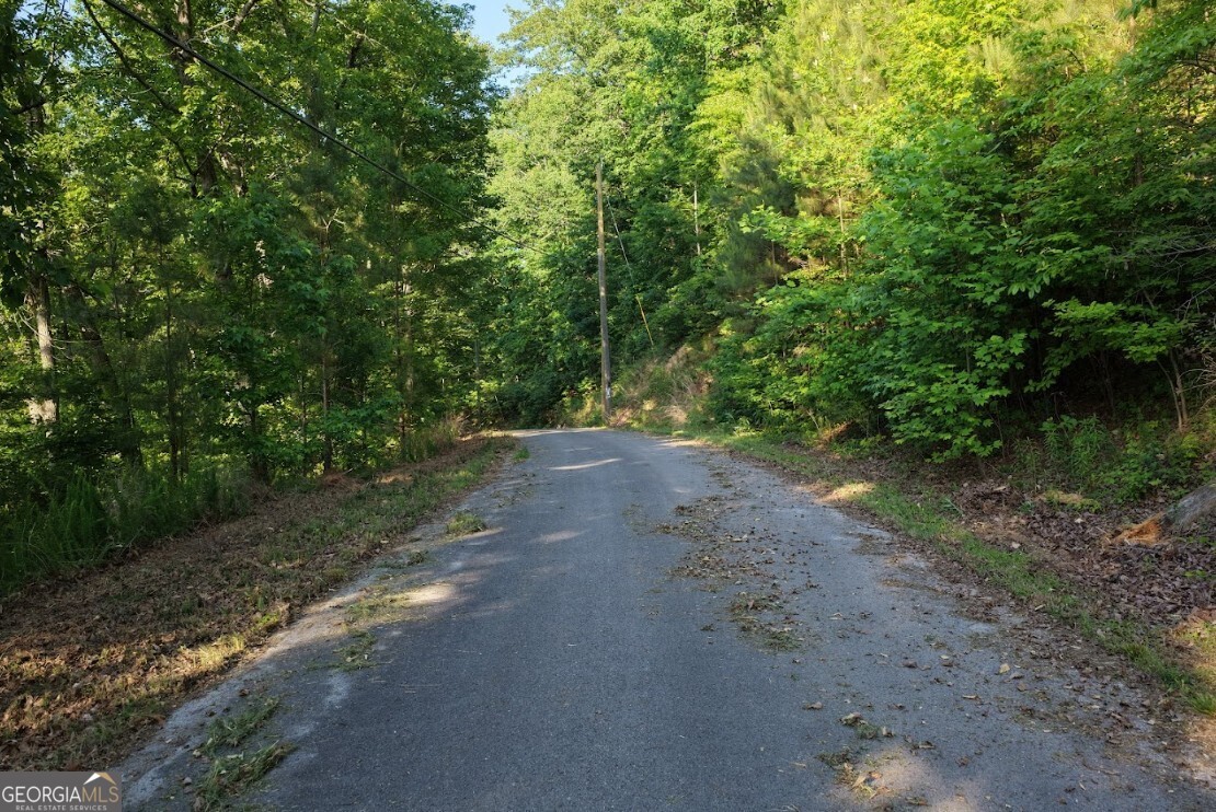 115 Carters Overlook Drive Ranger, GA 30734 - Photo 2 of 12