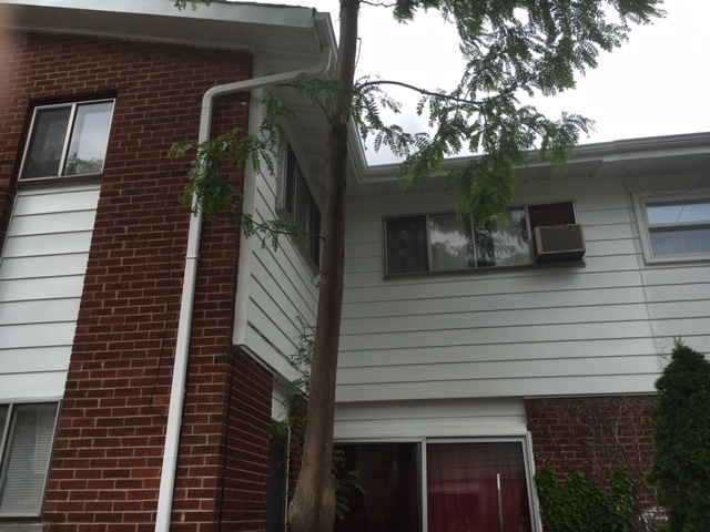8010 West Lyons Street, Unit B Niles, IL 60714 - Photo 2 of 19 a view of a house with a tree