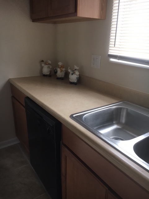 8010 West Lyons Street, Unit B Niles, IL 60714 - Photo 5 of 19 a close view of sink and tap