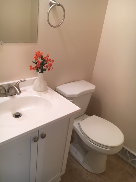 8010 West Lyons Street, Unit B Niles, IL 60714 - Photo 8 of 19 a bathroom with a sink mirror vanity and toilet