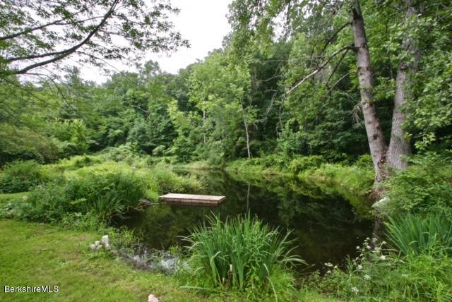 51 Main Road Monterey, MA 01230 - Photo 15 of 17 a view of a forest with a tree