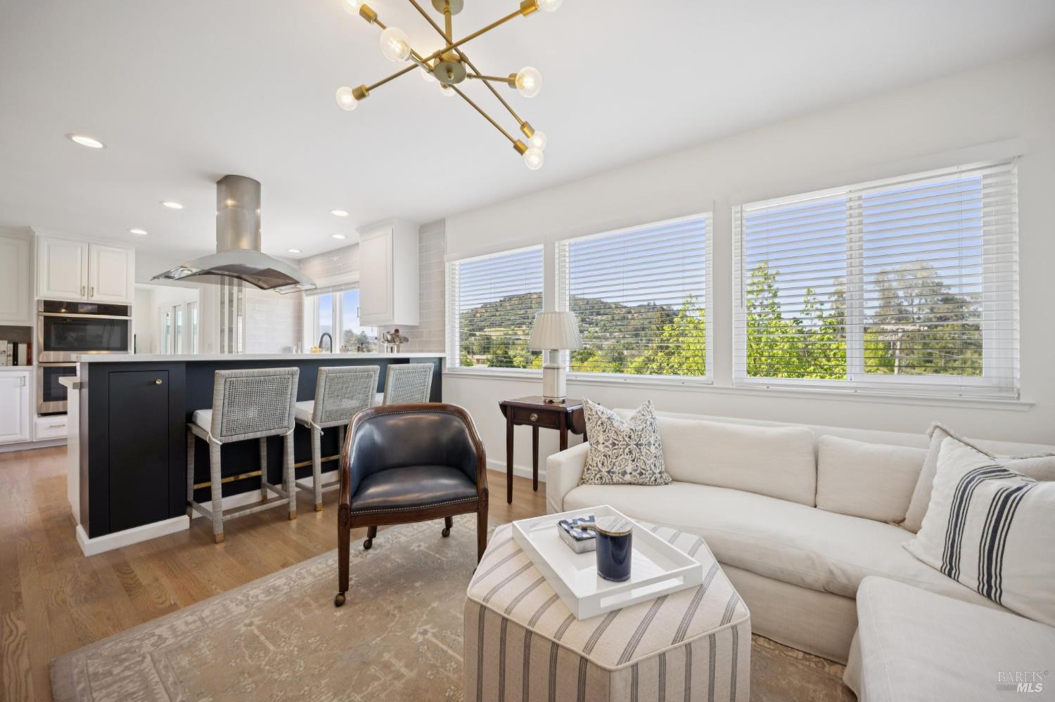 1380 Grand Avenue San Rafael, CA 94901 - Photo 17 of 46 a living room with furniture and a large window