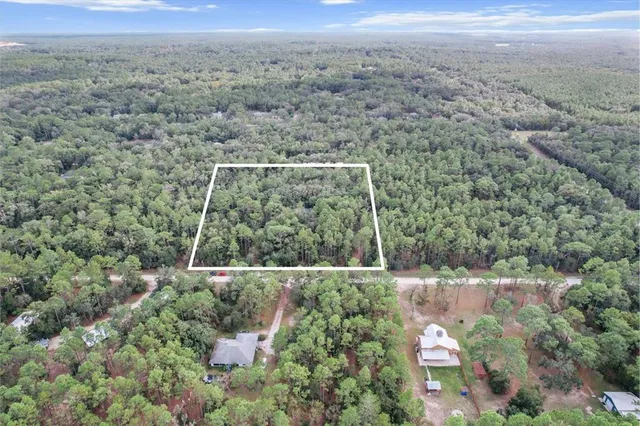view of a forest with a lake view