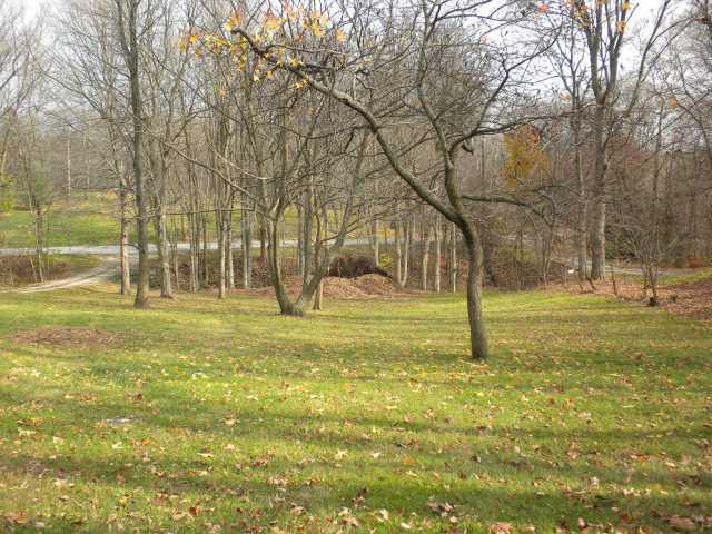3402 Pinecrest Road Indianapolis, IN 46234 - Photo 9 of 9 Gallery Image 9
