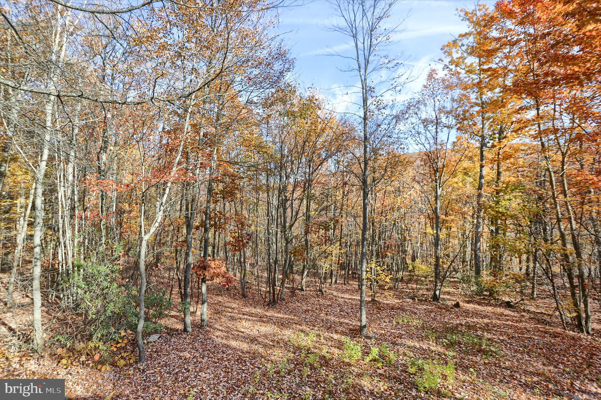 8620 Monns Gap Road Waynesboro, PA 17268 - Photo 26 of 99 Gallery Image 26