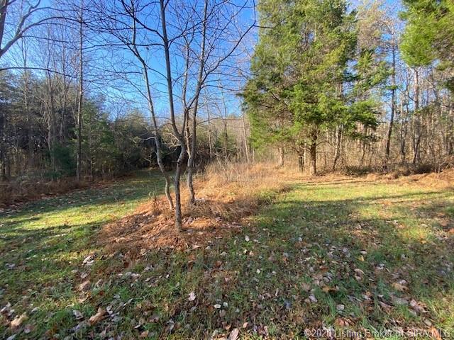 Henryville Otisco Road Otisco, IN 47163 - Photo 3 of 21 Gallery Image 3