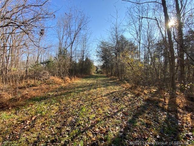 Henryville Otisco Road Otisco, IN 47163 - Photo 5 of 21 Gallery Image 5