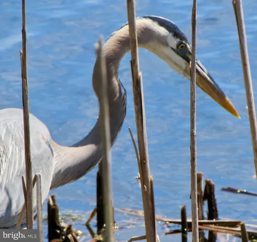 $985,000 | 37286 Lighthouse Road, Unit 210, Selbyville, DE 19975