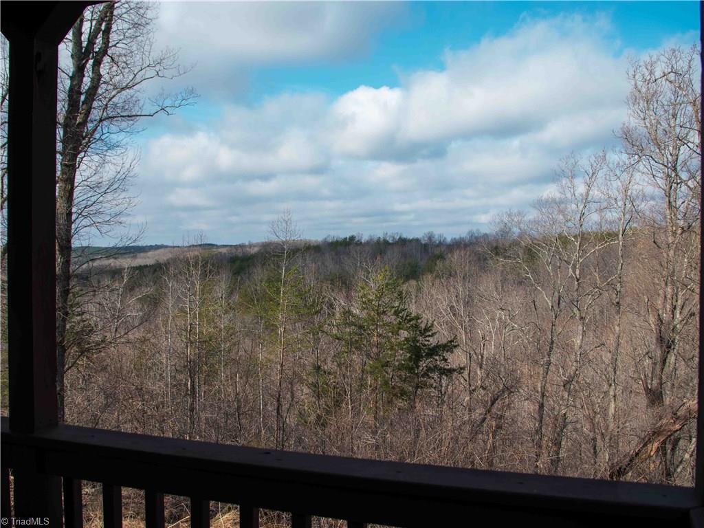 1258 Bolejack Road Germanton, NC 27019 - Photo 23 of 29 View from Back Deck