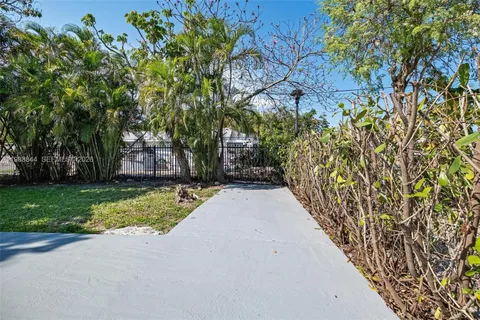 a view of a backyard with a large tree