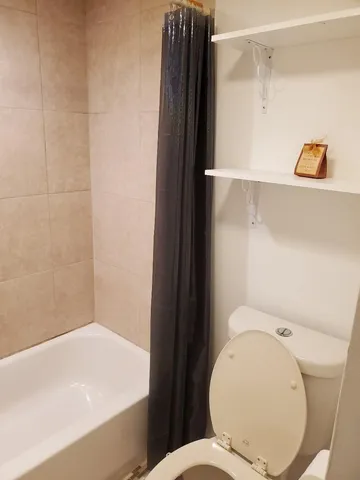 a bathroom with a toilet and a bathtub