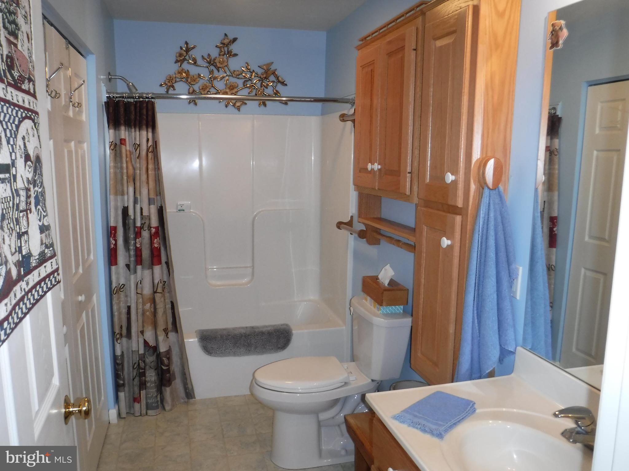 6825 Seneca Ridge Drive York, PA 17403 - Photo 11 of 19 Hall Bath with Laundry Closet