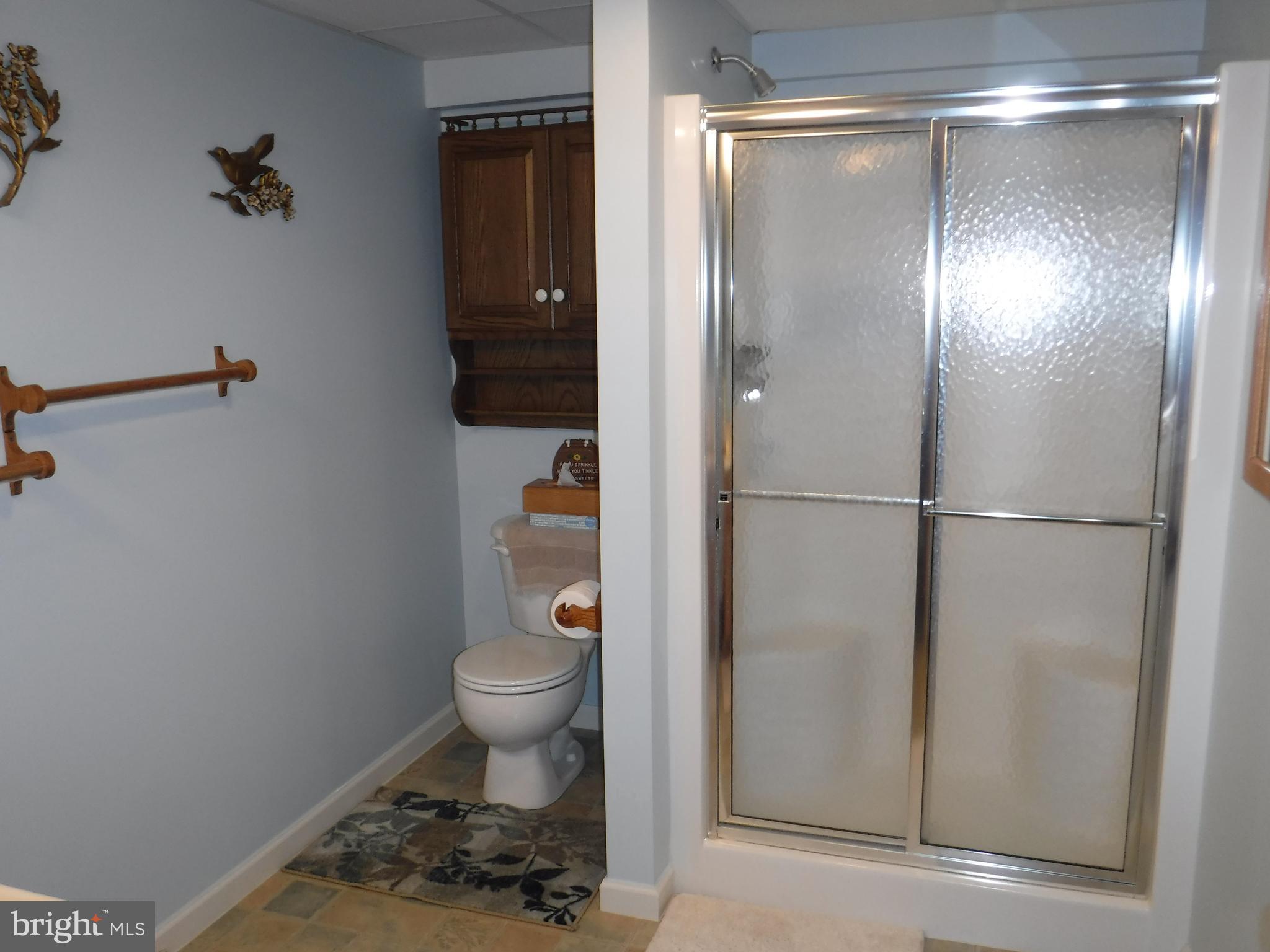 6825 Seneca Ridge Drive York, PA 17403 - Photo 16 of 19 Lower Level Full Bath