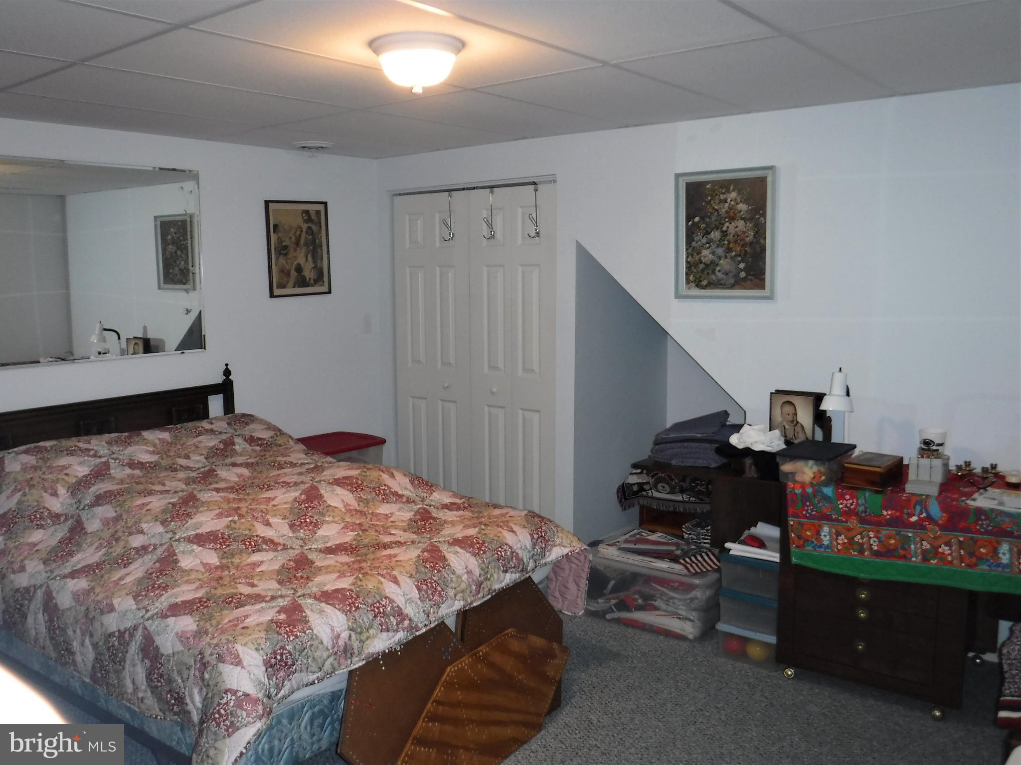 6825 Seneca Ridge Drive York, PA 17403 - Photo 17 of 19 Finished Lower Level Bedroom