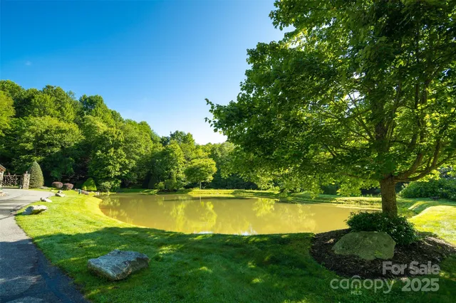 a view of a swimming pool with a garden