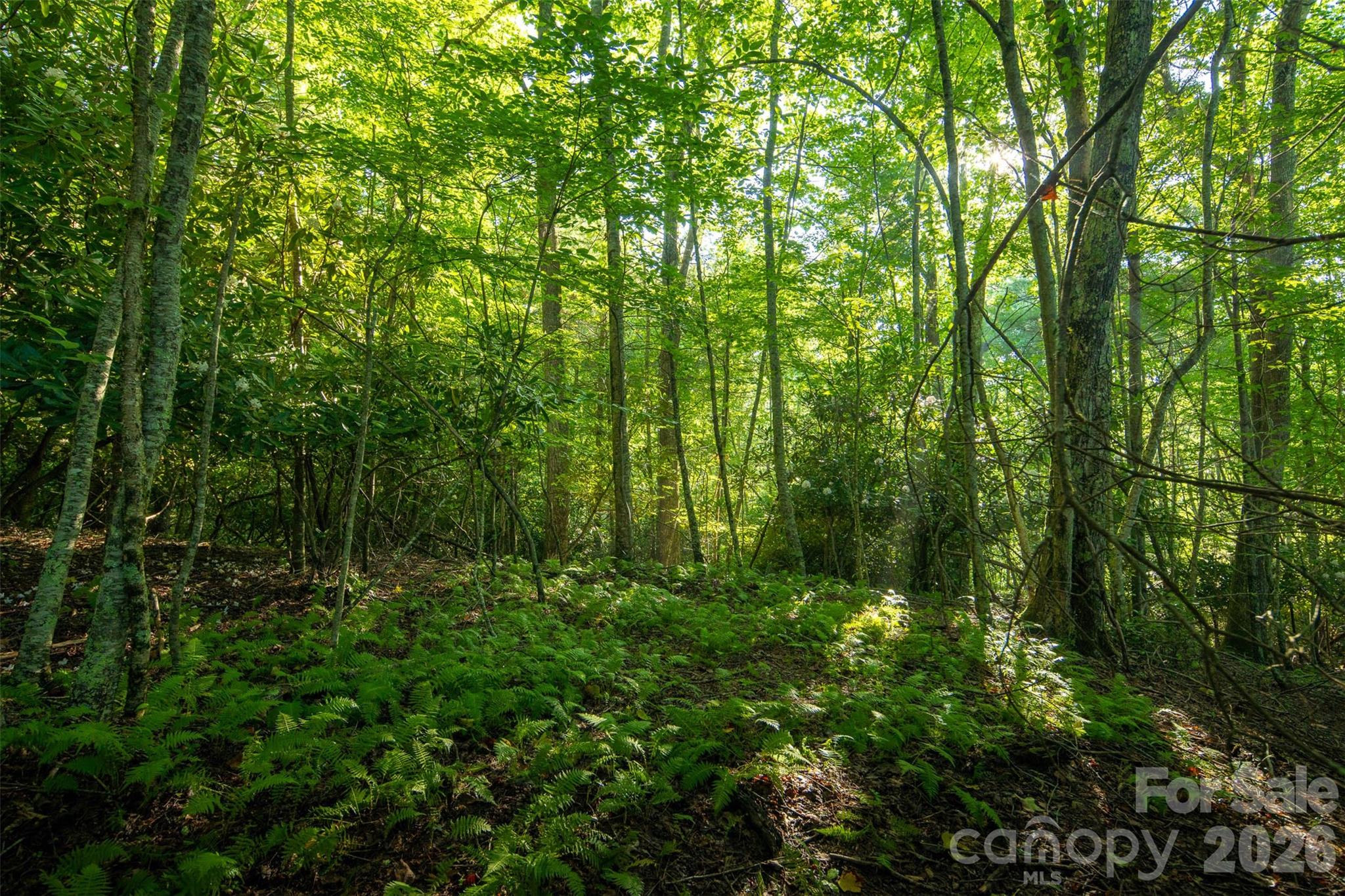 Tbd Boulder Creek Drive, Unit 1 Boone, NC 28607 - Photo 16 of 45