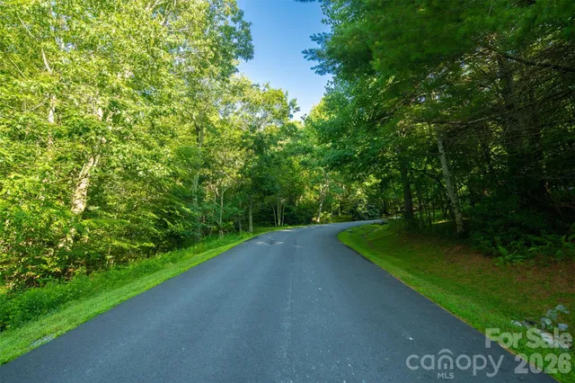 a view of a green field with lots of bushes