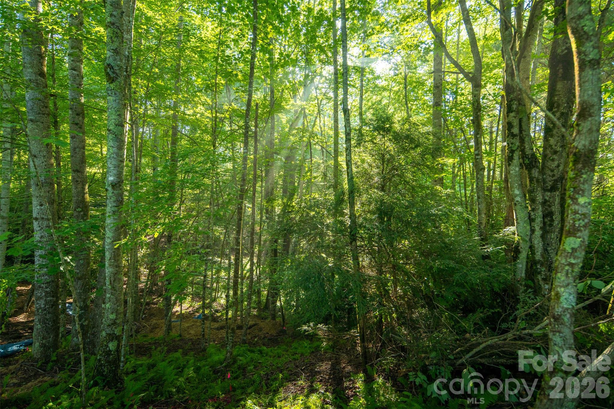 Tbd Boulder Creek Drive, Unit 1 Boone, NC 28607 - Photo 21 of 44