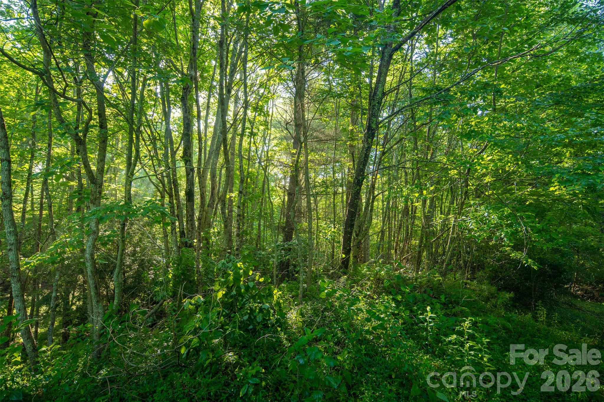 Tbd Boulder Creek Drive, Unit 1 Boone, NC 28607 - Photo 22 of 44