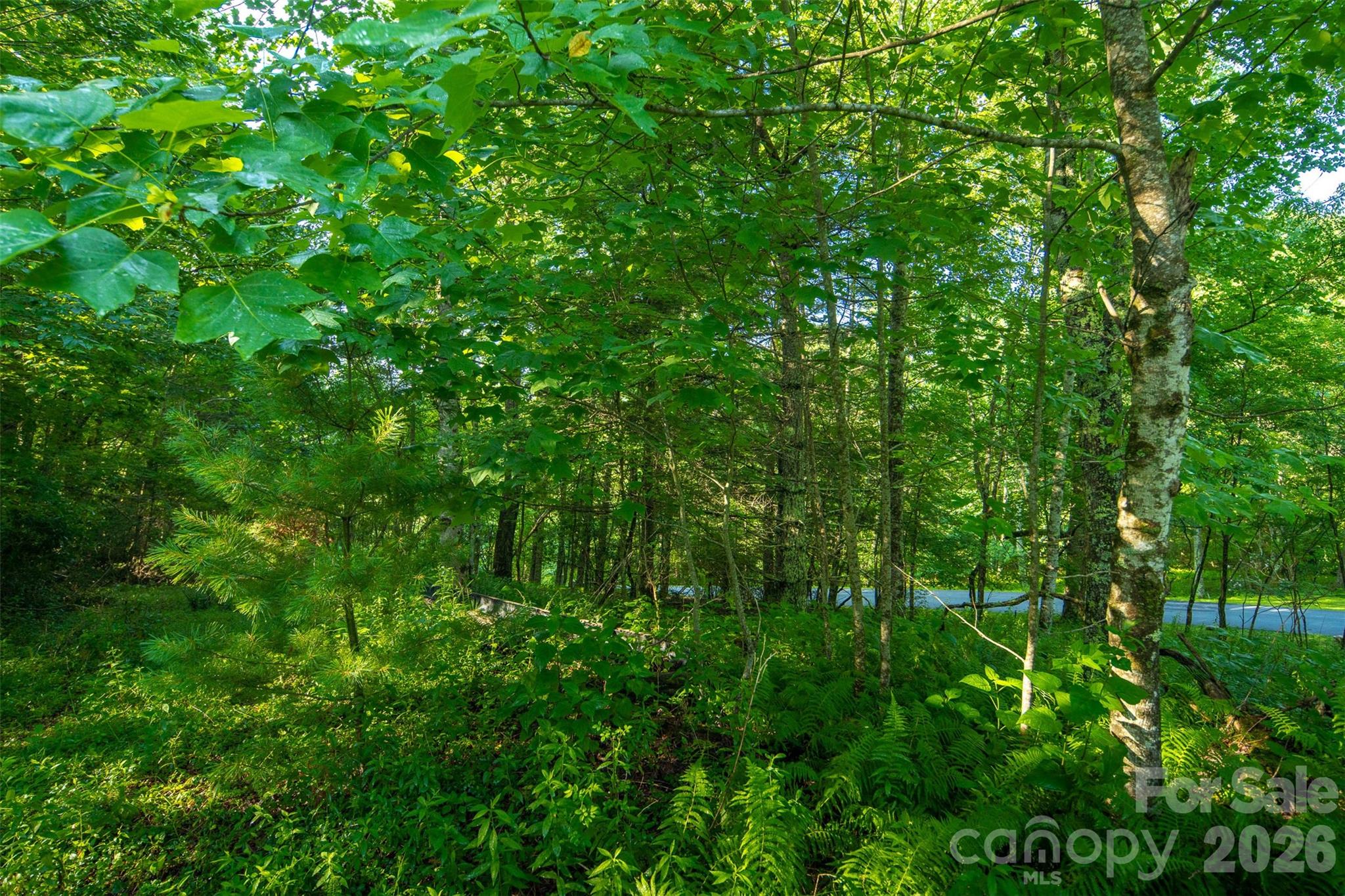 Tbd Boulder Creek Drive, Unit 1 Boone, NC 28607 - Photo 24 of 44