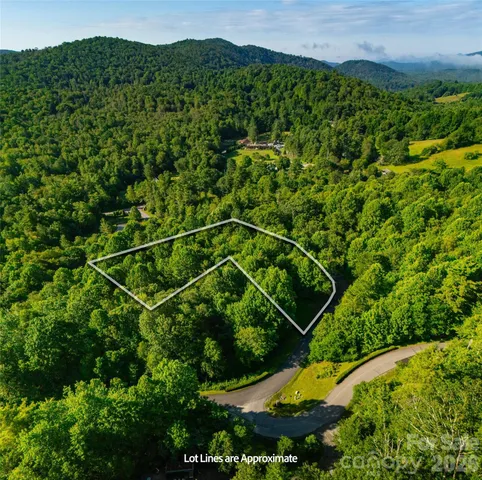 a view of a lush green field