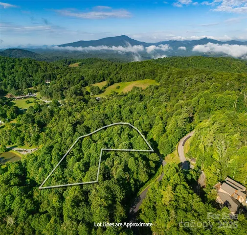 a view of a lush green field