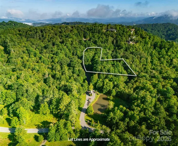 a backyard of a house with lots of green space and trees all around