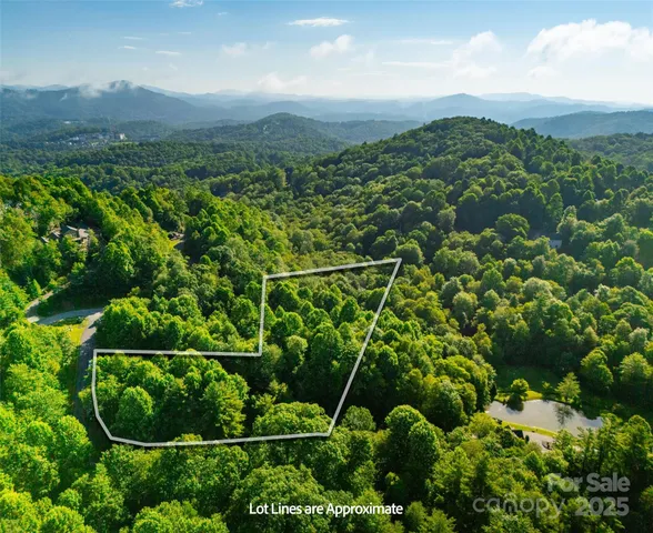 a view of a green field