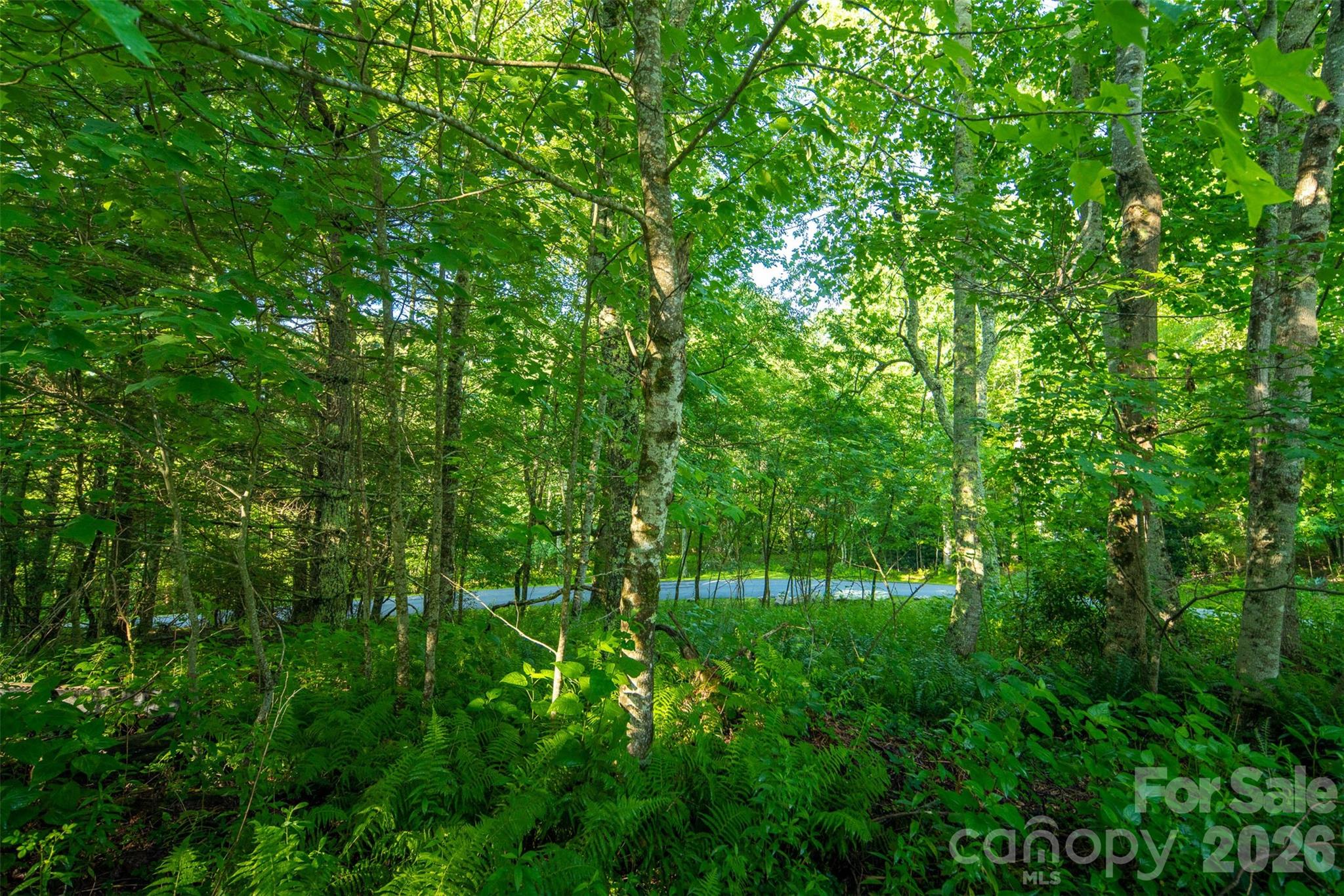 Tbd Boulder Creek Drive, Unit 1 Boone, NC 28607 - Photo 33 of 45