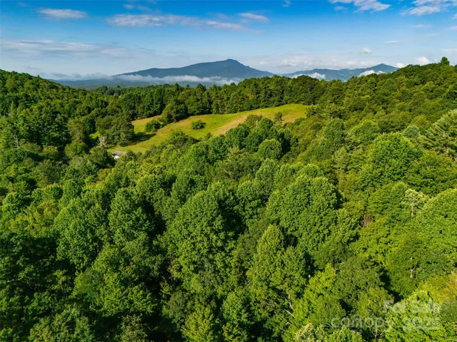 a view of a large yard with lots of green space