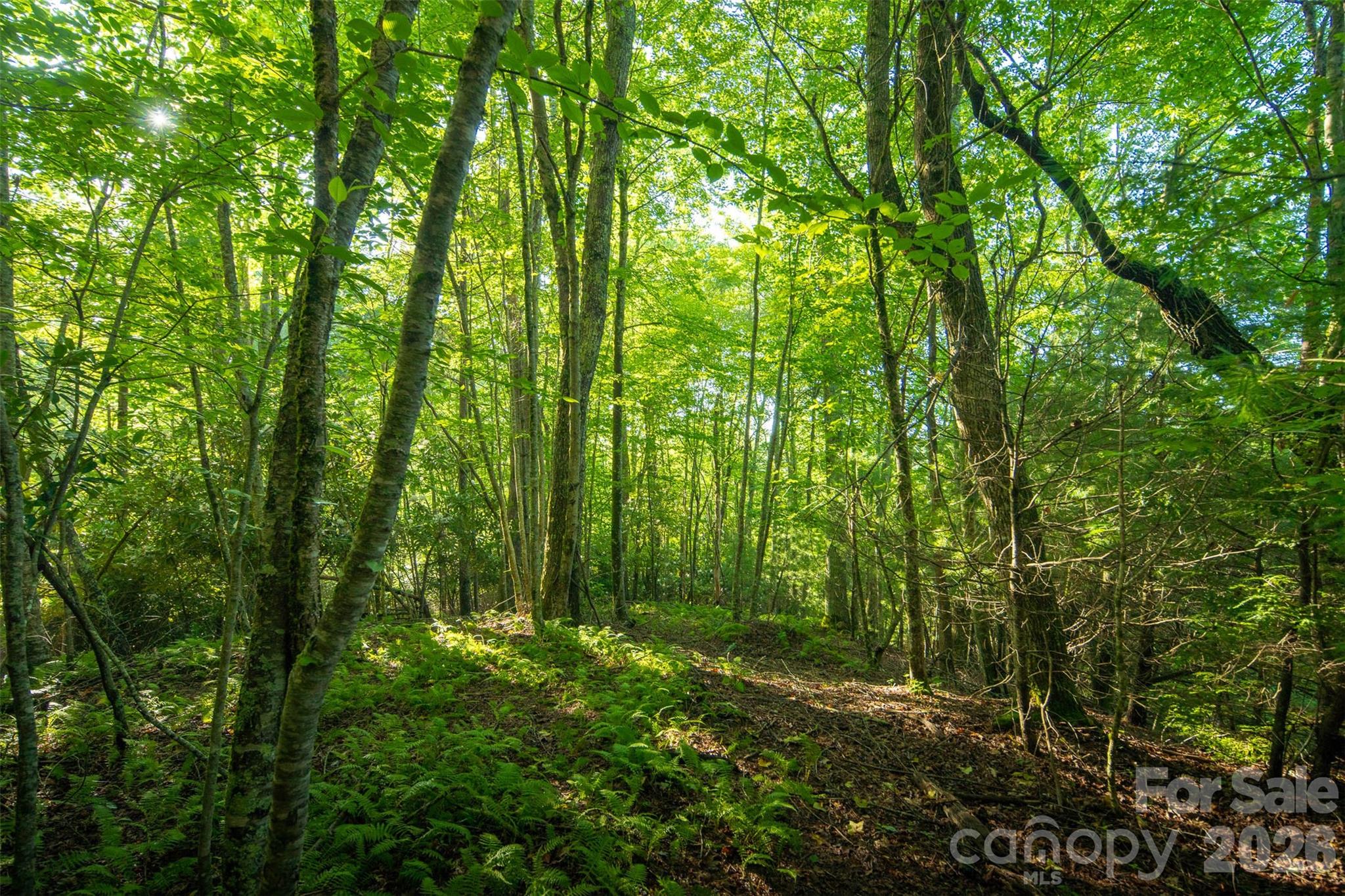 Tbd Boulder Creek Drive, Unit 1 Boone, NC 28607 - Photo 4 of 44