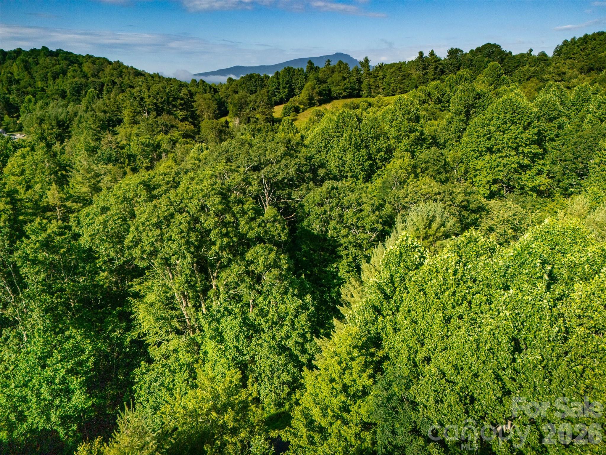 Tbd Boulder Creek Drive, Unit 1 Boone, NC 28607 - Photo 41 of 45