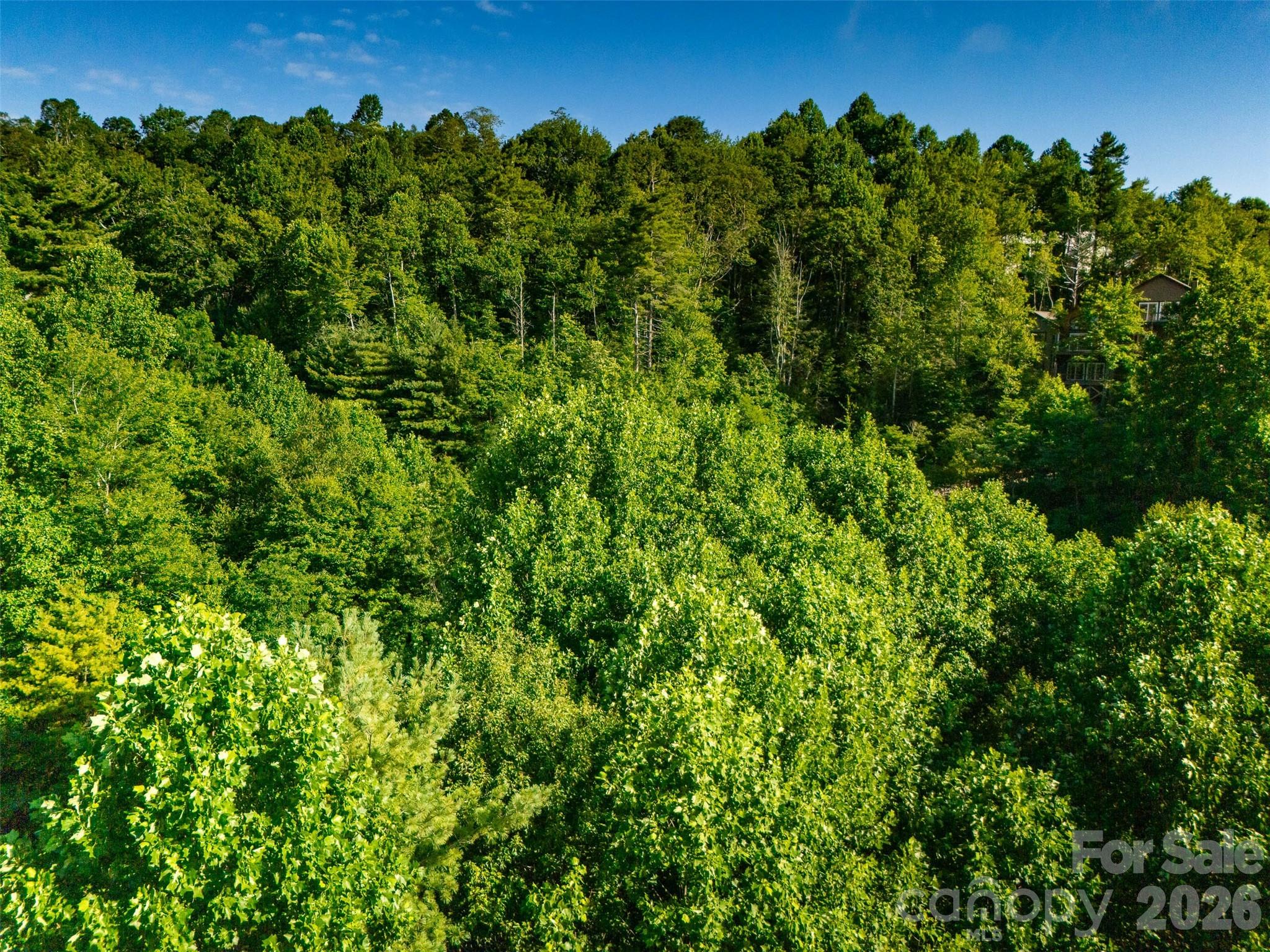 Tbd Boulder Creek Drive, Unit 1 Boone, NC 28607 - Photo 42 of 45