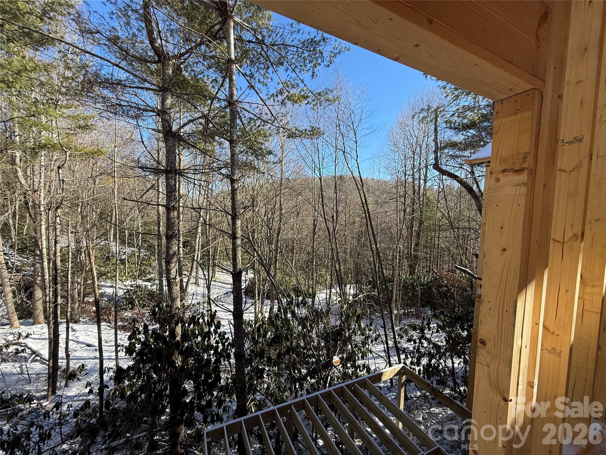 Tbd Boulder Creek Drive, Unit 1 Boone, NC 28607 - Photo 43 of 44