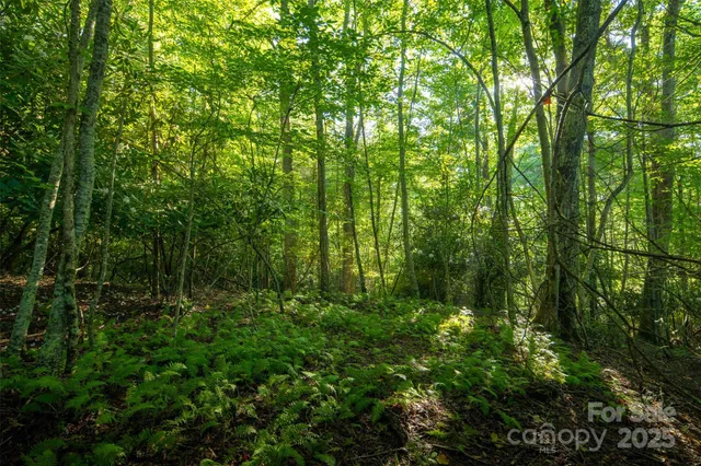 a view of outdoor space and green space