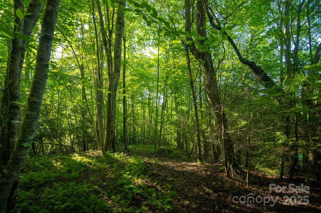a view of outdoor space and green space