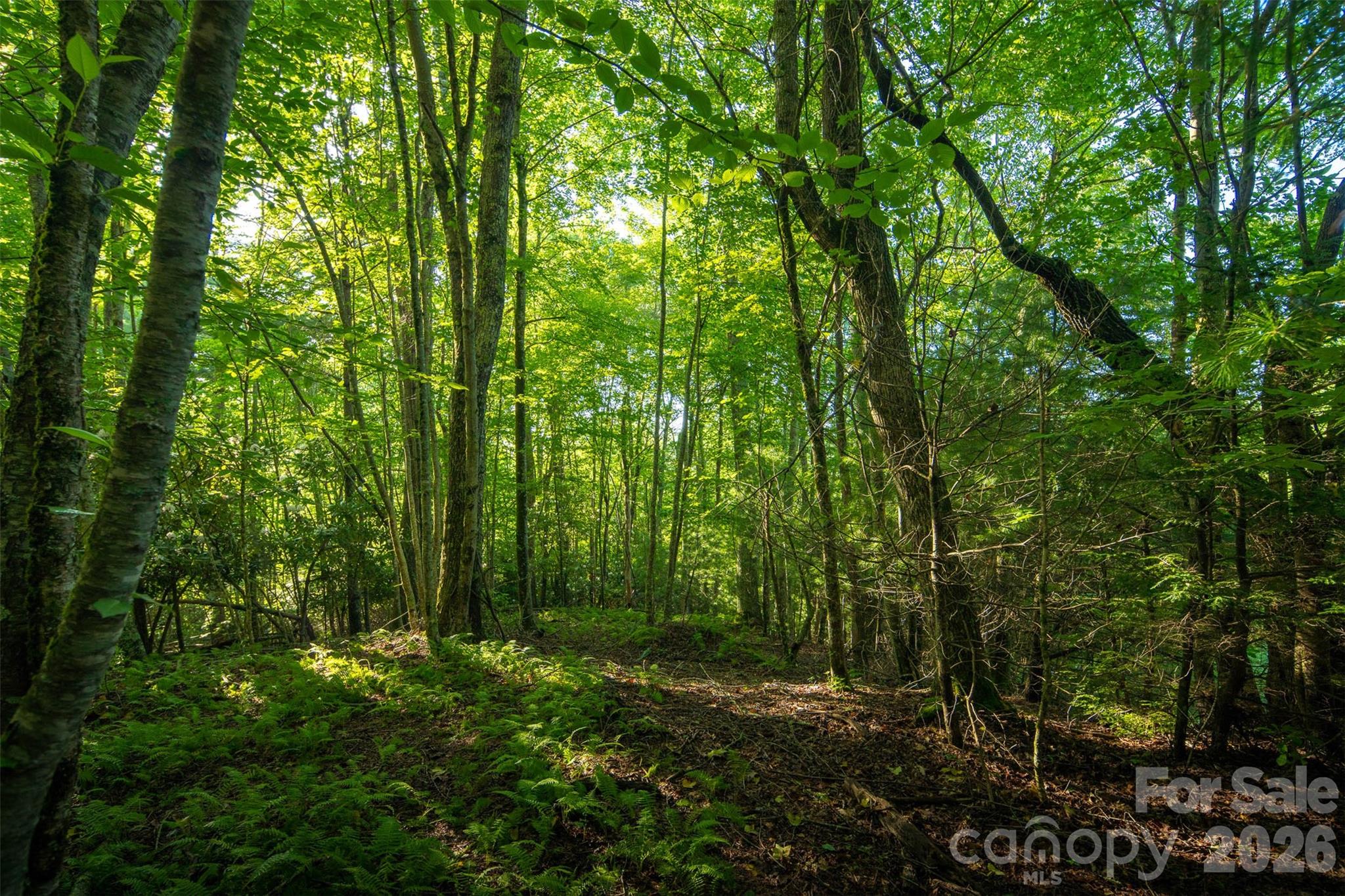Tbd Boulder Creek Drive, Unit 1 Boone, NC 28607 - Photo 7 of 44