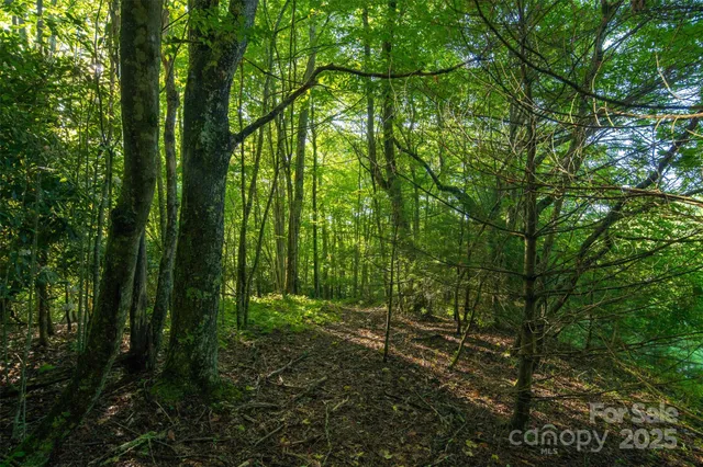 a view of outdoor space and green space