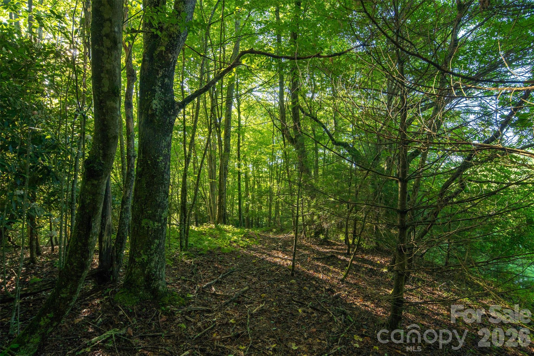 Tbd Boulder Creek Drive, Unit 1 Boone, NC 28607 - Photo 8 of 44