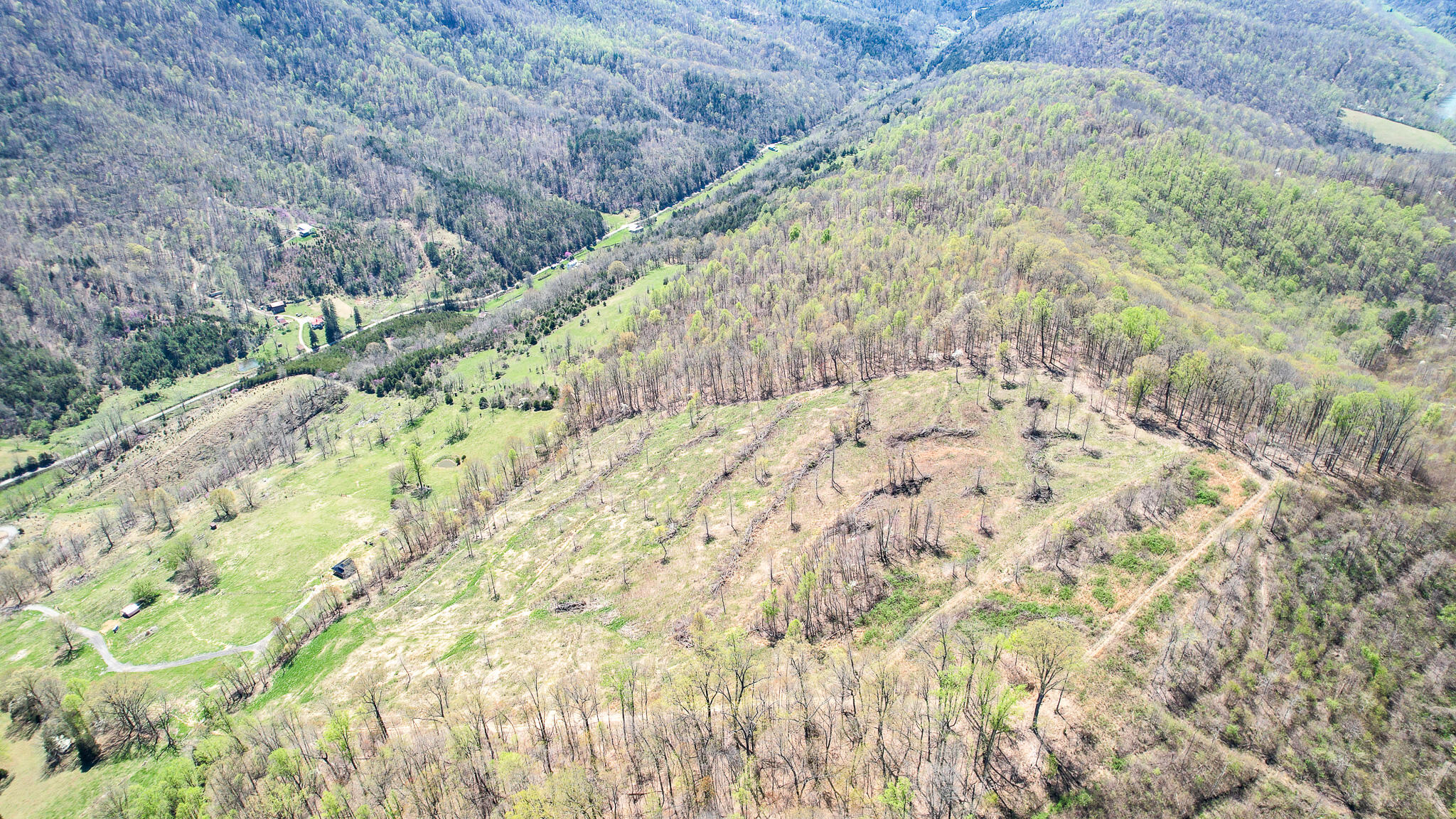 6149 Clinch Mountain Road Eidson, TN 37731 - Photo 18 of 46 DJI_0378